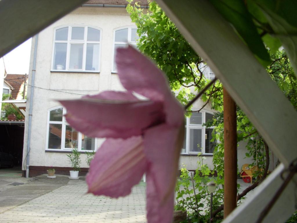 Garden Szivarvany Utcai Vendeghaz Szeged Exterior photo